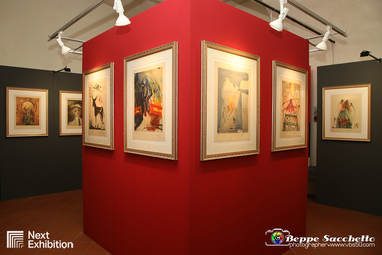 VBS_7774 - Salvador Dalì - The Exhibition.jpg
